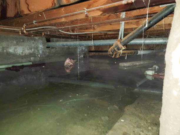 Best Flooded house restoration  in Port Reading, NJ