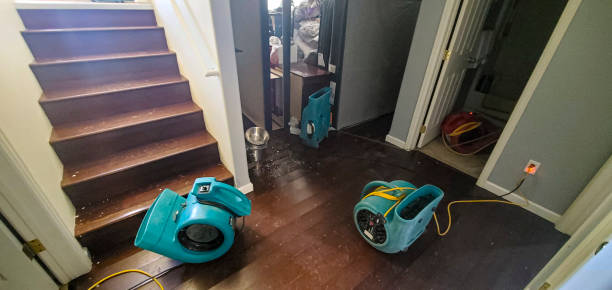 Best Sewage cleanup and water damage restoration  in Port Reading, NJ