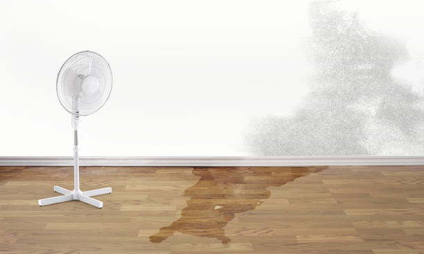 Best Water damage restoration near me  in Port Reading, NJ
