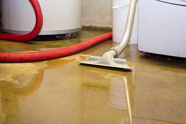 Best Flood restoration services  in Port Reading, NJ
