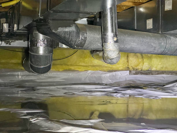 Best Water damage cleanup near me  in Port Reading, NJ