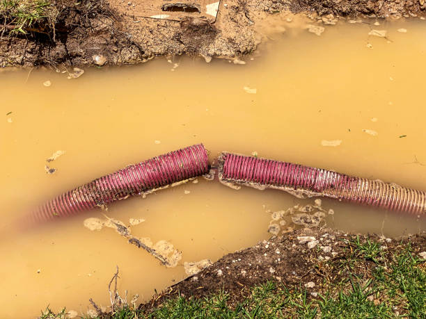 Best Water damage mitigation services  in Port Reading, NJ
