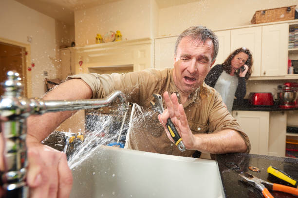 Best Mold removal after water damage  in Port Reading, NJ